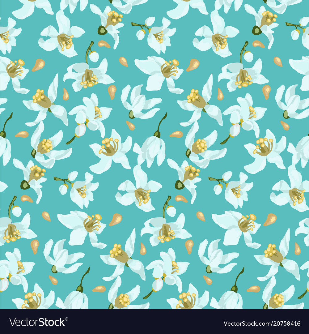 Seamless pattern with seeds and citrus tree vector image Seamless pattern with seeds and citrus tree
