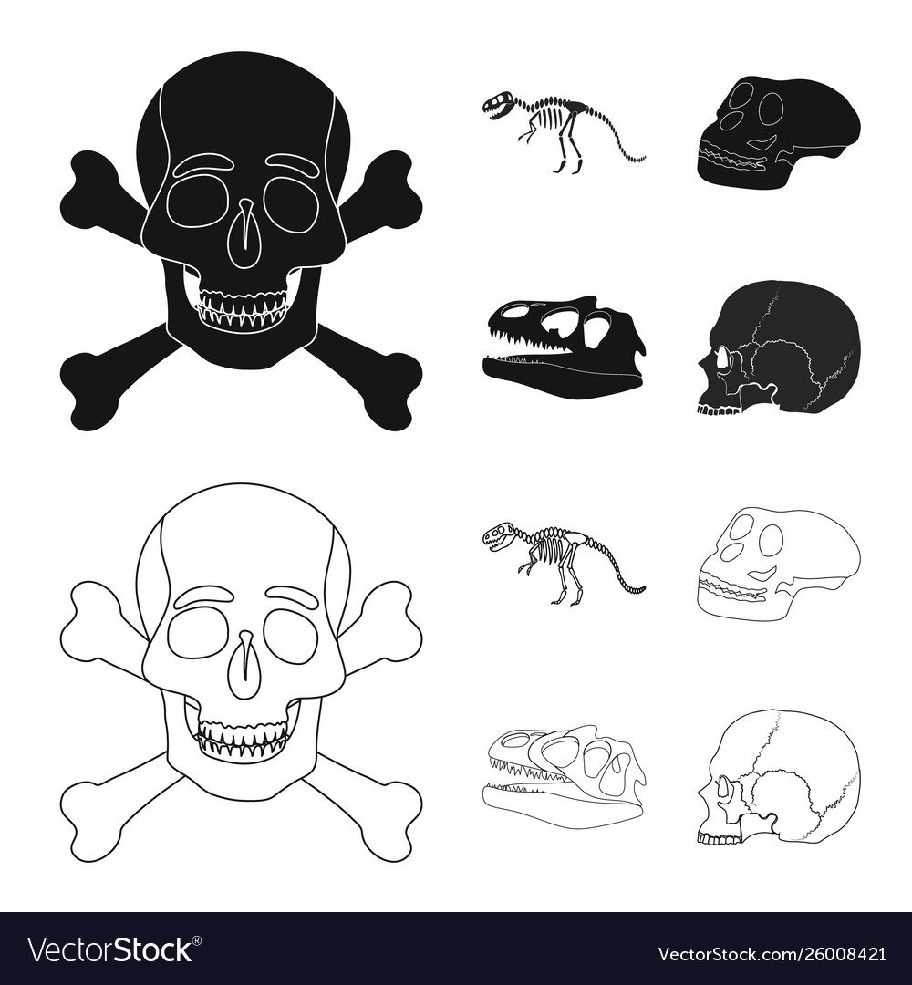 Isolated object skeleton and character logo