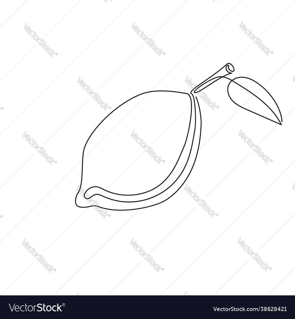 Lemon with leaf continuous line drawing vector image Lemon with leaf continuous line drawing
