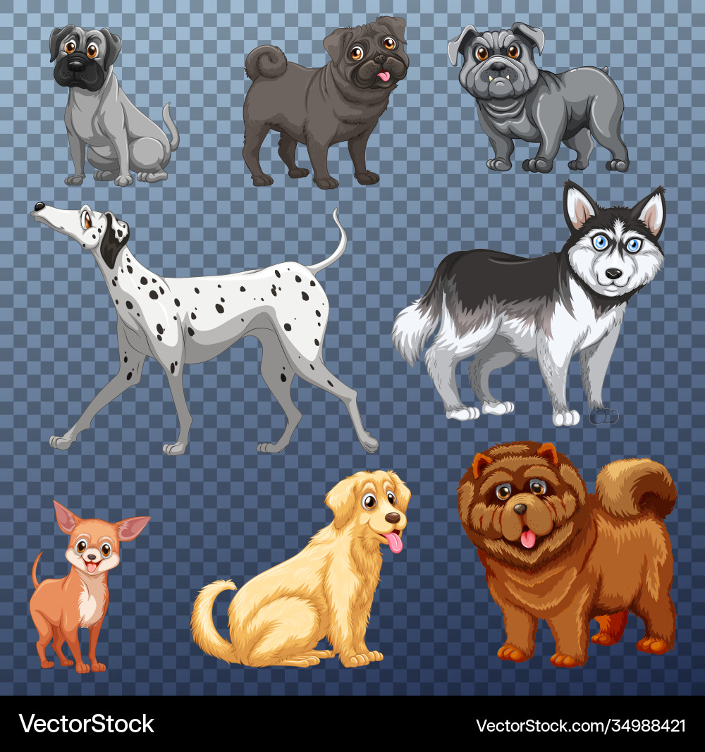 Set different dogs isolated Royalty Free Vector Image