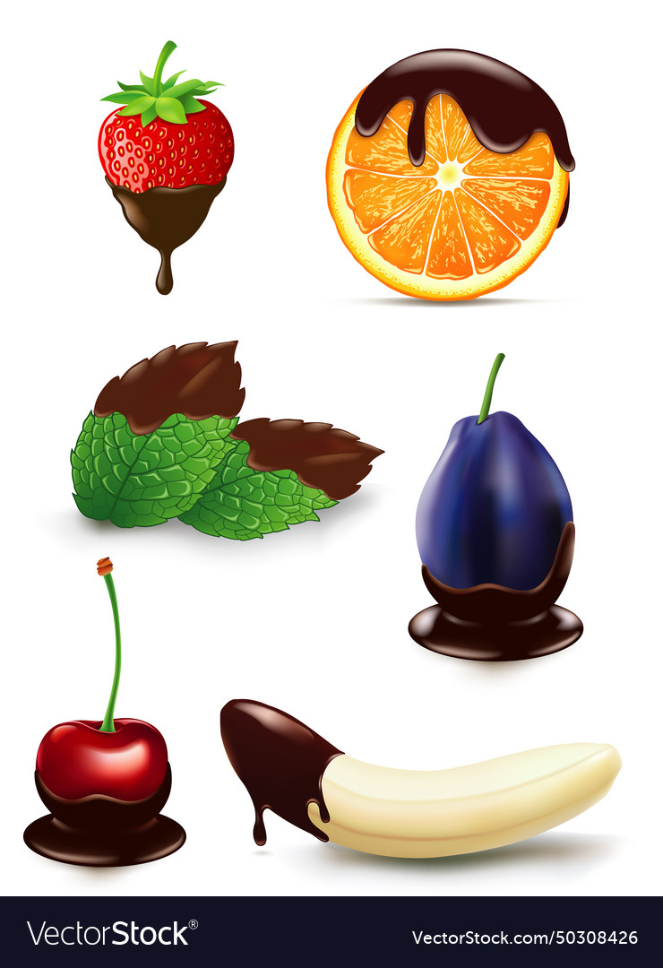 Chocolate covered different fruits Royalty Free Vector Image