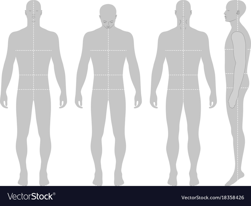 Fashion man figure Royalty Free Vector Image - VectorStock