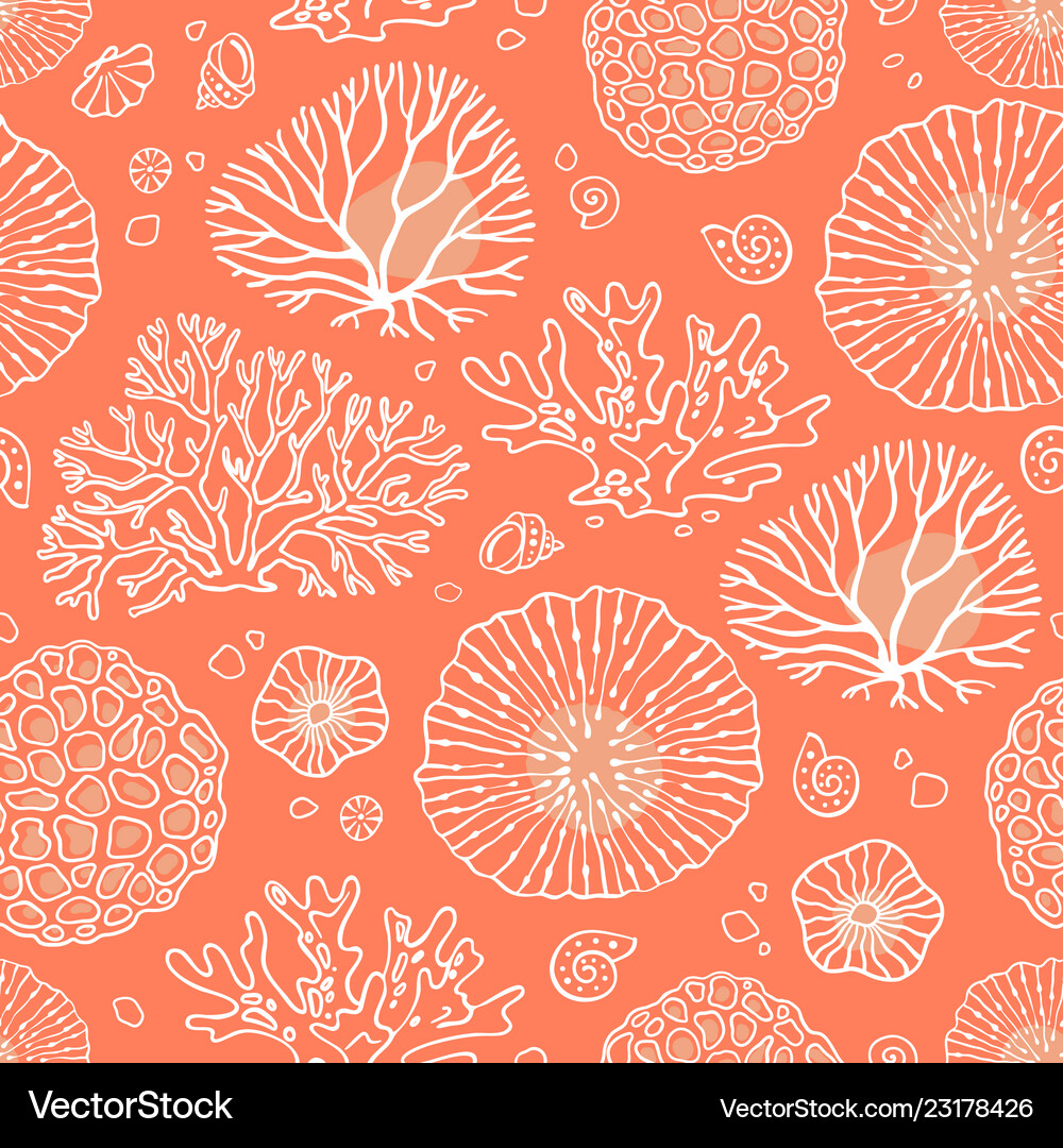Seamless pattern with corals Royalty Free Vector Image