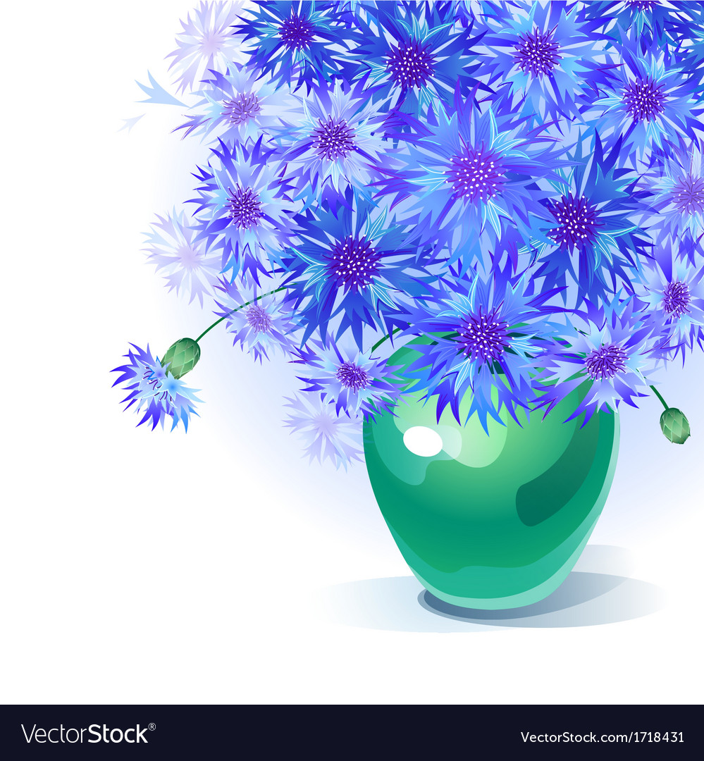 Bluebottle bouquet in vase