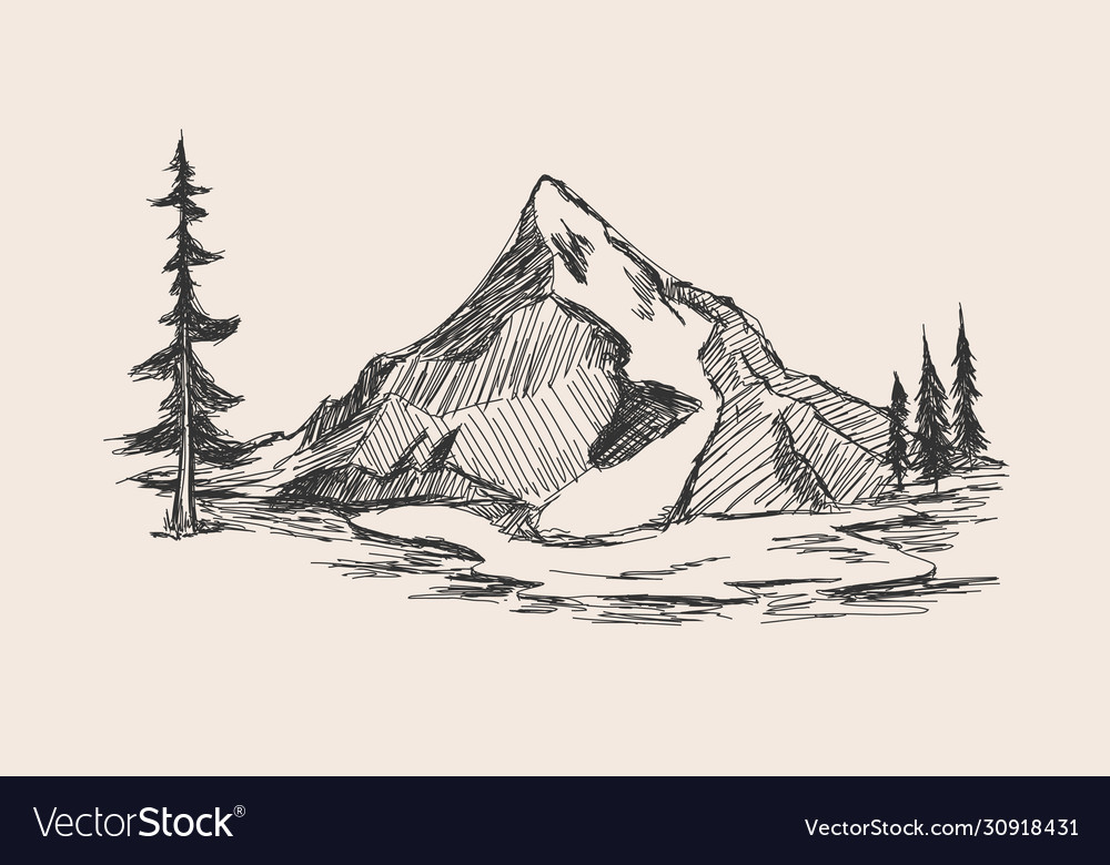 Hand drawn sketch pine forest and mountains