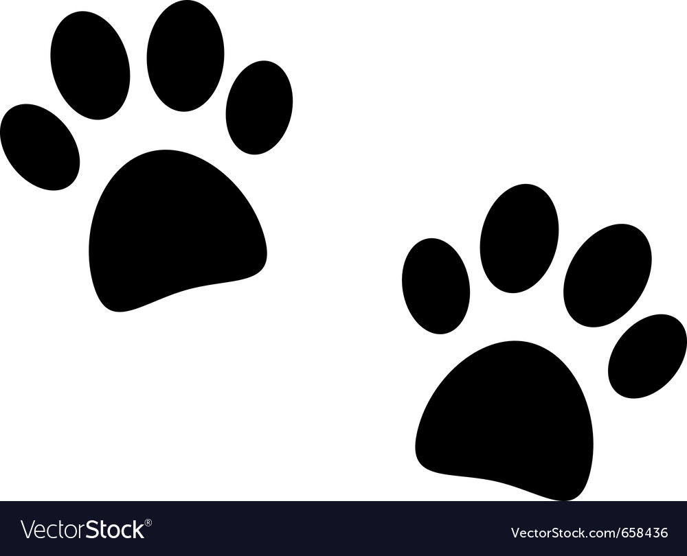 Black Paw Print on White Background