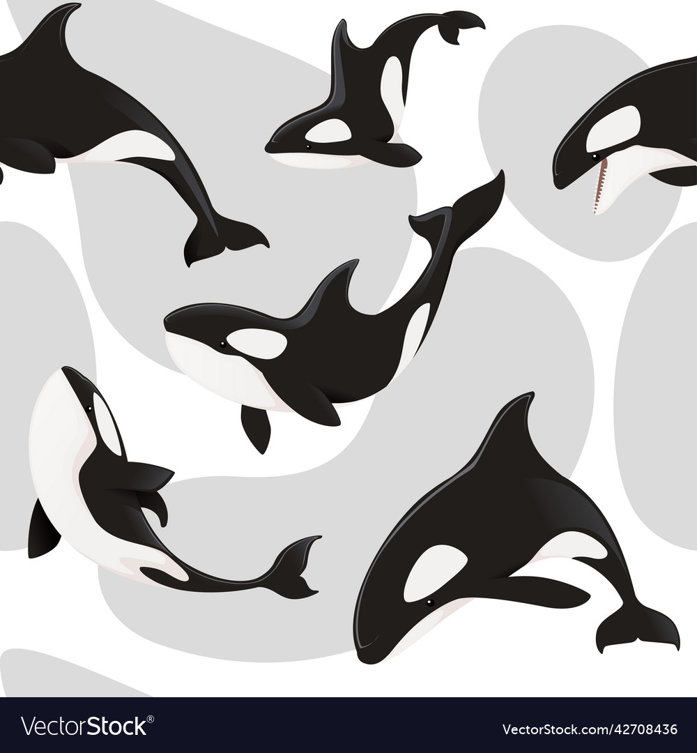 Seamless pattern of killer whale orca cartoon Vector Image Seamless pattern of killer whale orca cartoon