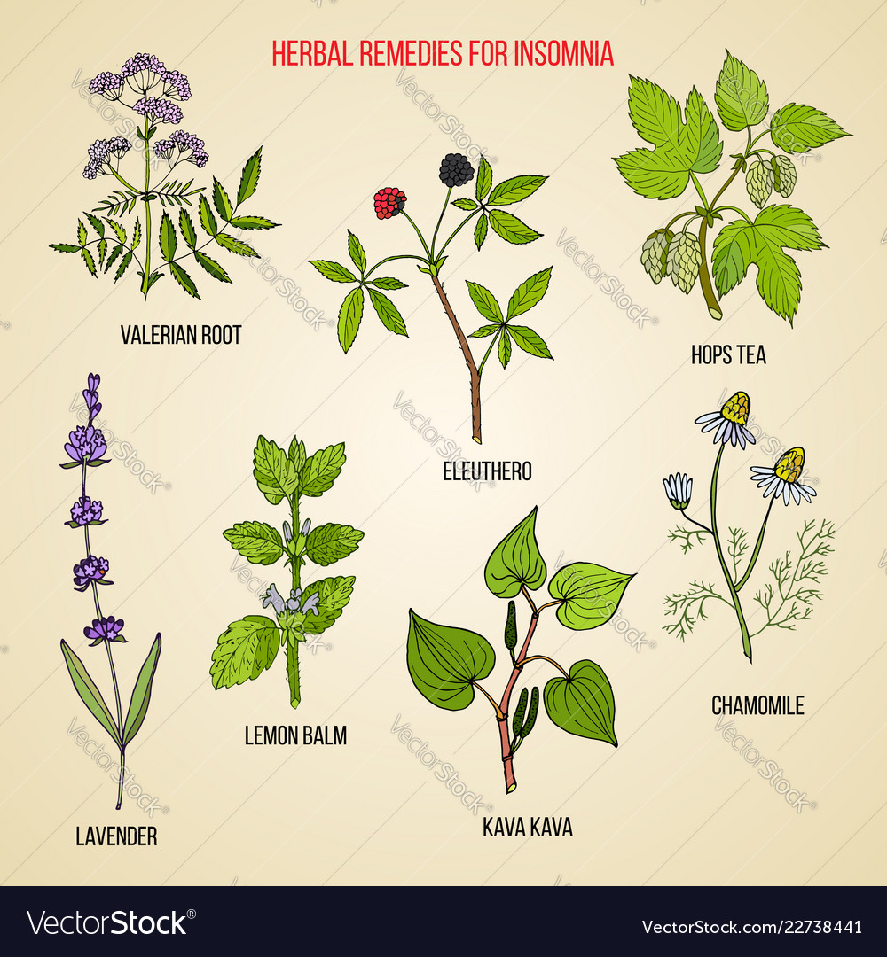 Herbal Remedies For Insomnia - Madinotes