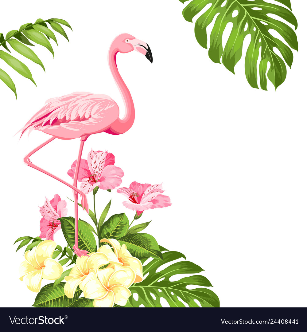 Flamingo Background Design Tropical Flowers Vector Image 9679