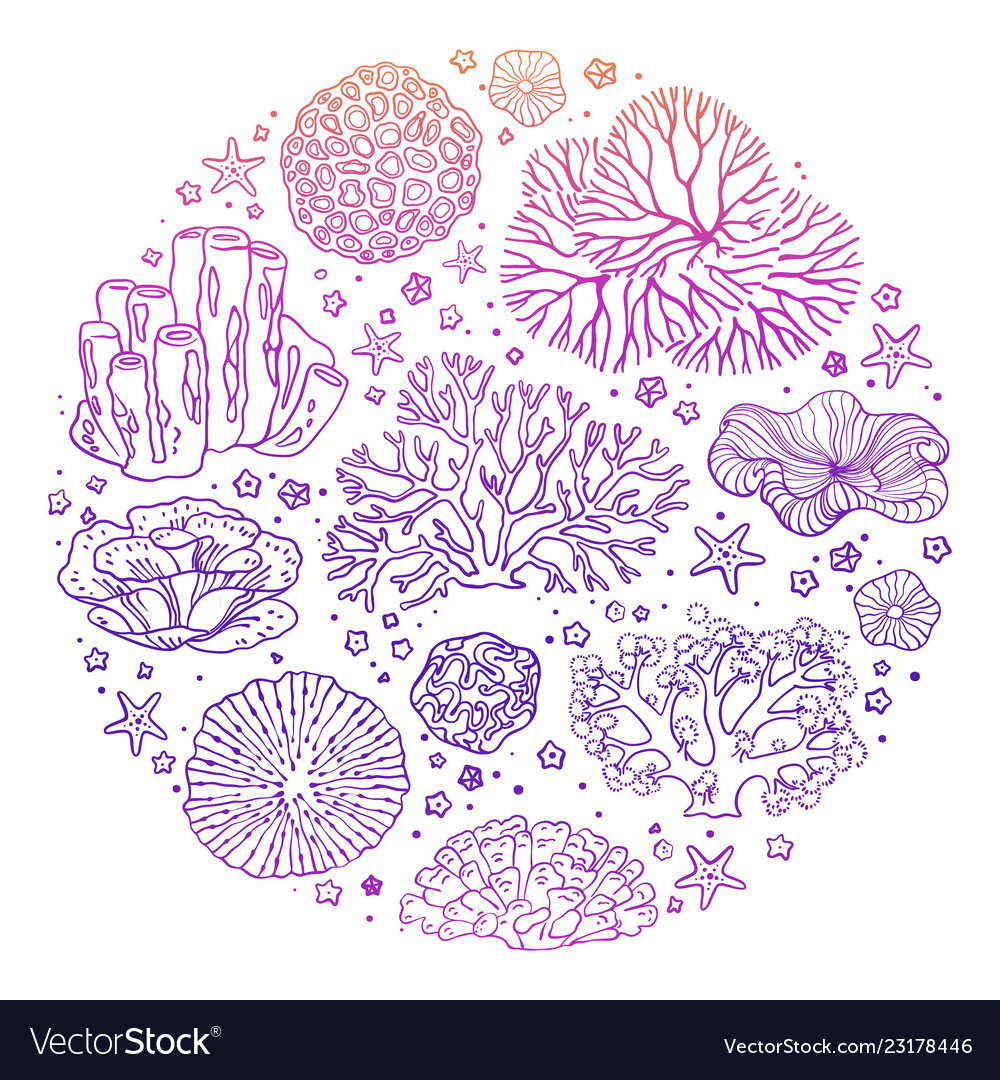 Circular pattern with many items from the ocean vector image Circular pattern with many items from the ocean
