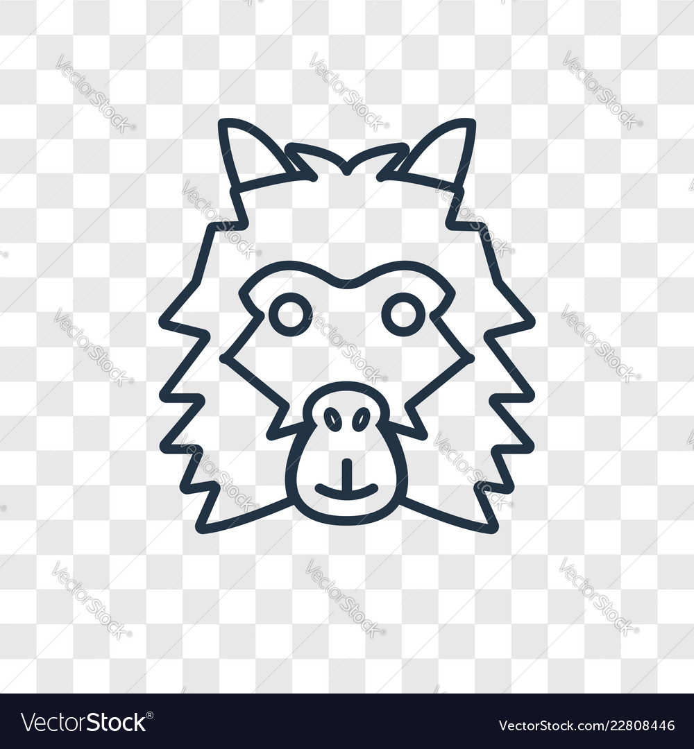 Lama concept linear icon isolated on transparent