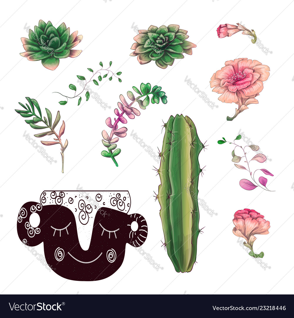 Potted cacti and succulents plants badge Vector Image