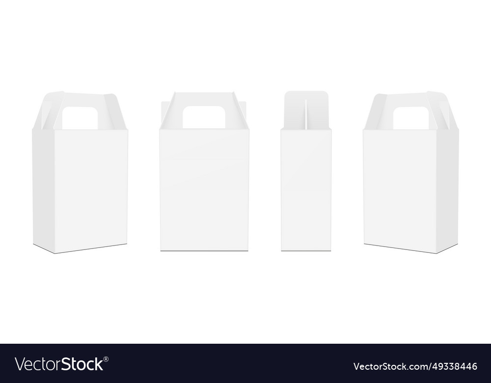 Rectangular carrier box mockup boxes with handle