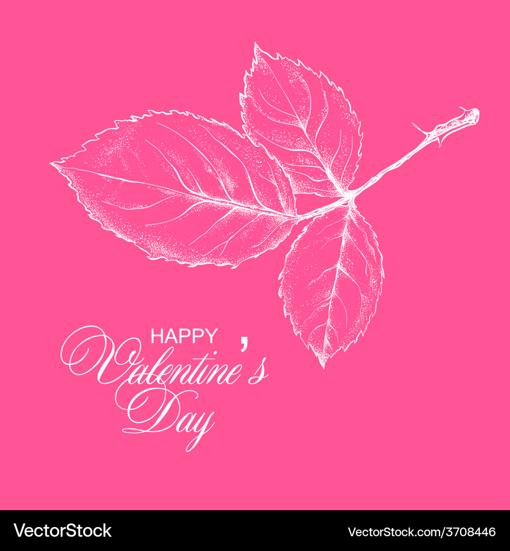 Valentines day design with rose flower Royalty Free Vector
