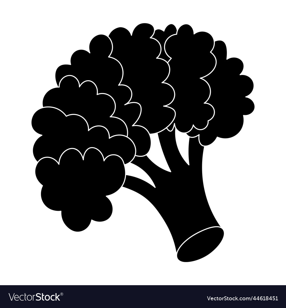 Broccoli Silhouette Kohl Blütenstand