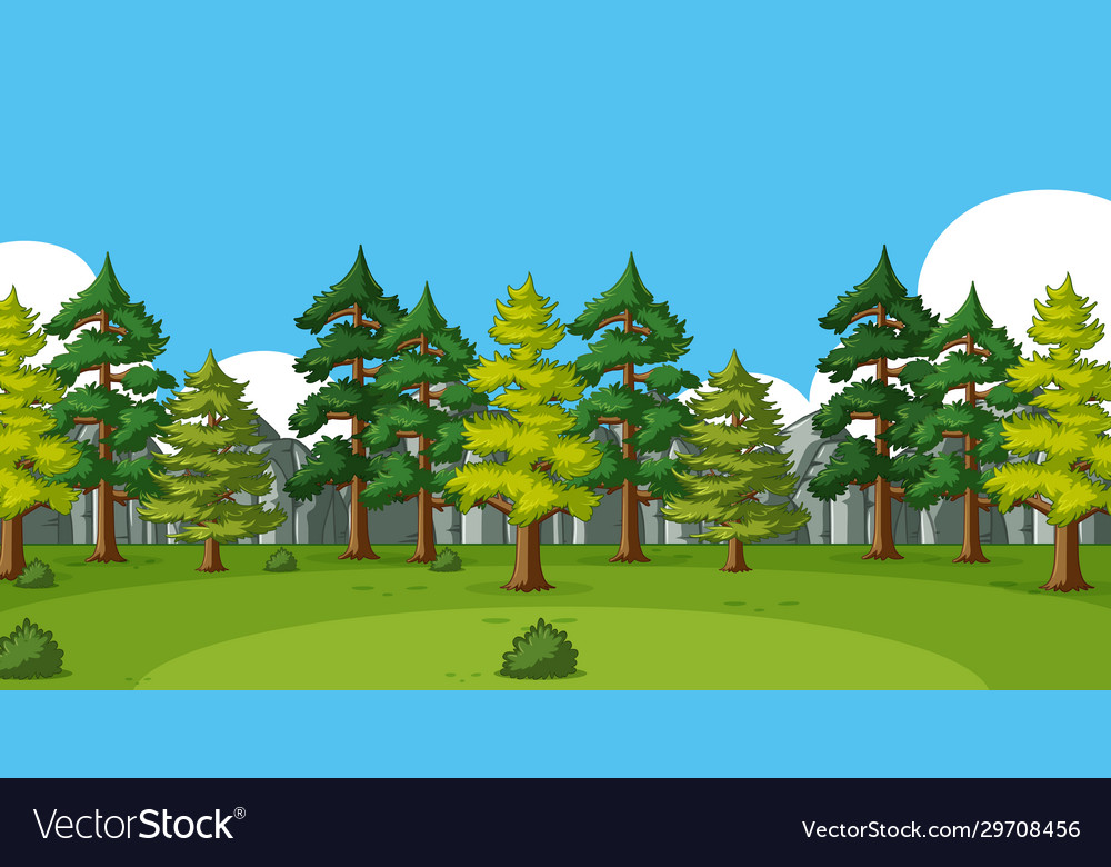 Background Scene With Many Pine Trees In The Vector Image
