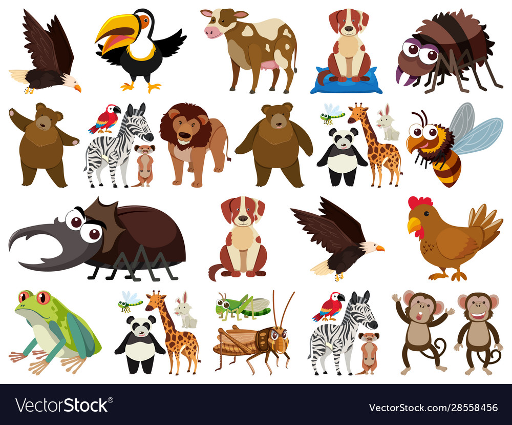 Set isolated objects theme animals