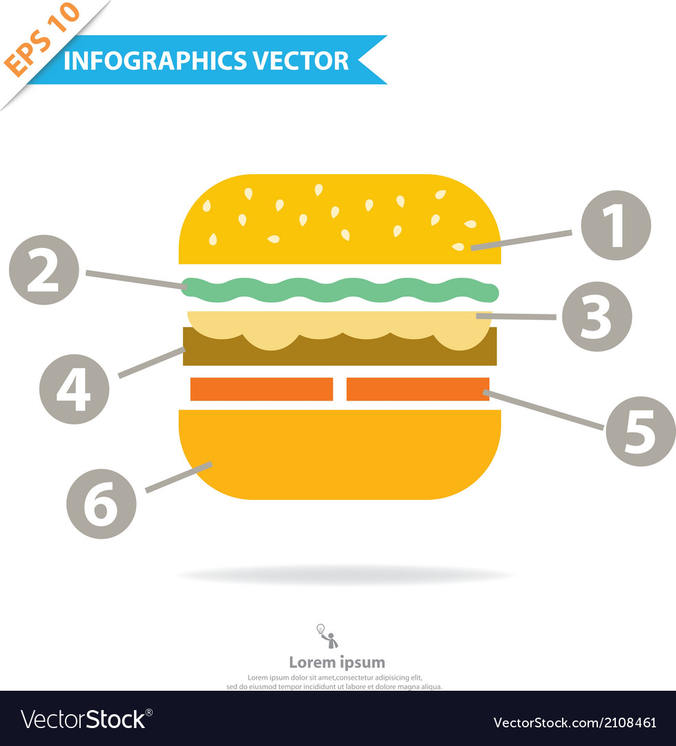 Burger infographics