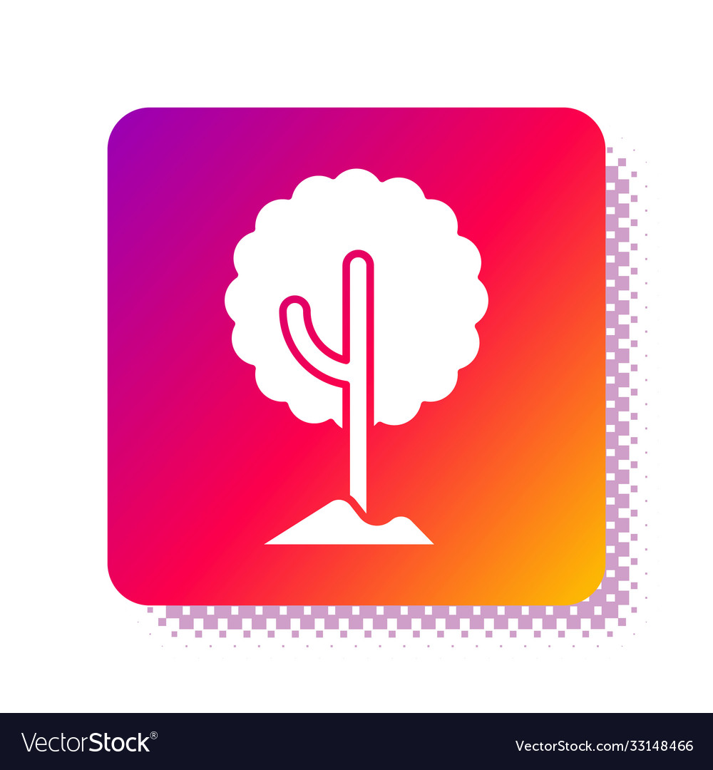 White tree icon isolated on background