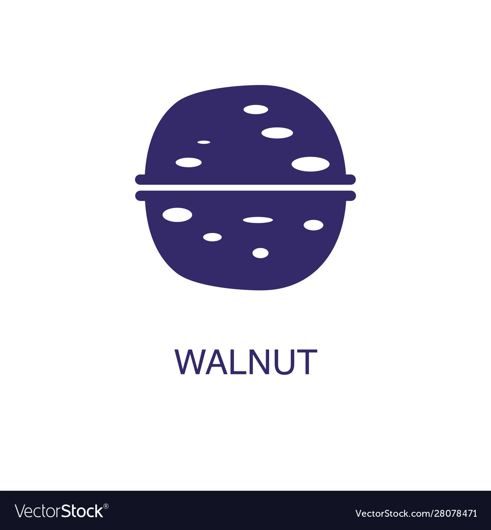 Walnut element in flat simple style on white
