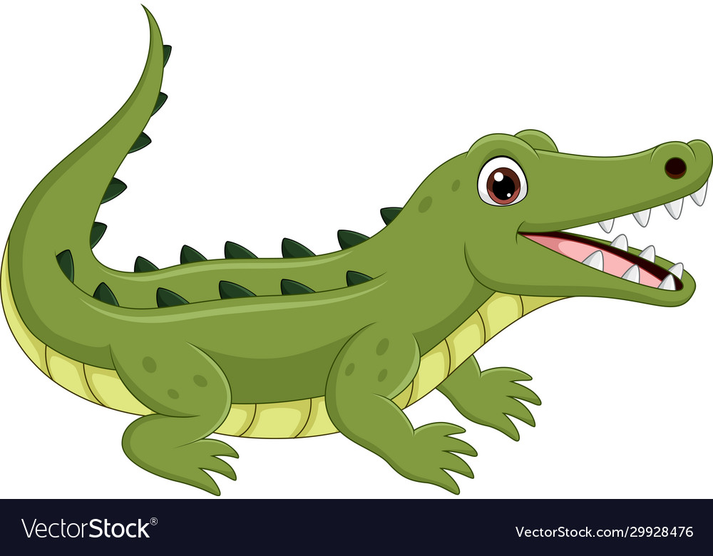 Cartoon crocodile isolated on white background Vector Image