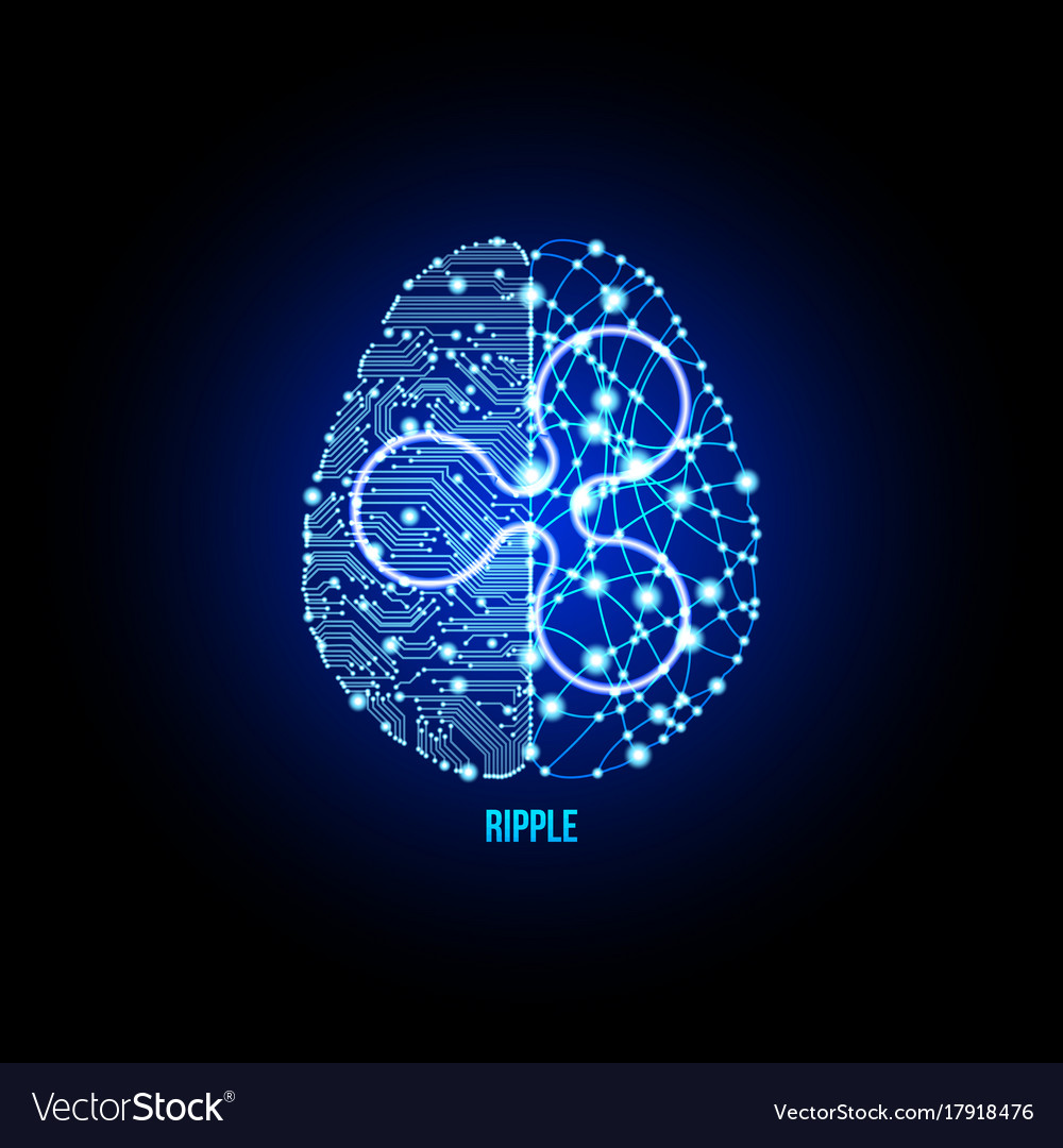 crypto brain