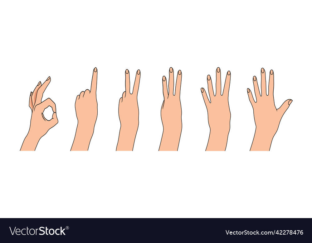 Set of hands showing numbers counting vector image Set of hands showing numbers counting