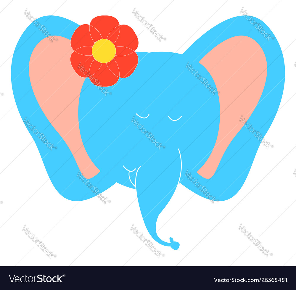 Elephant with flower on white background