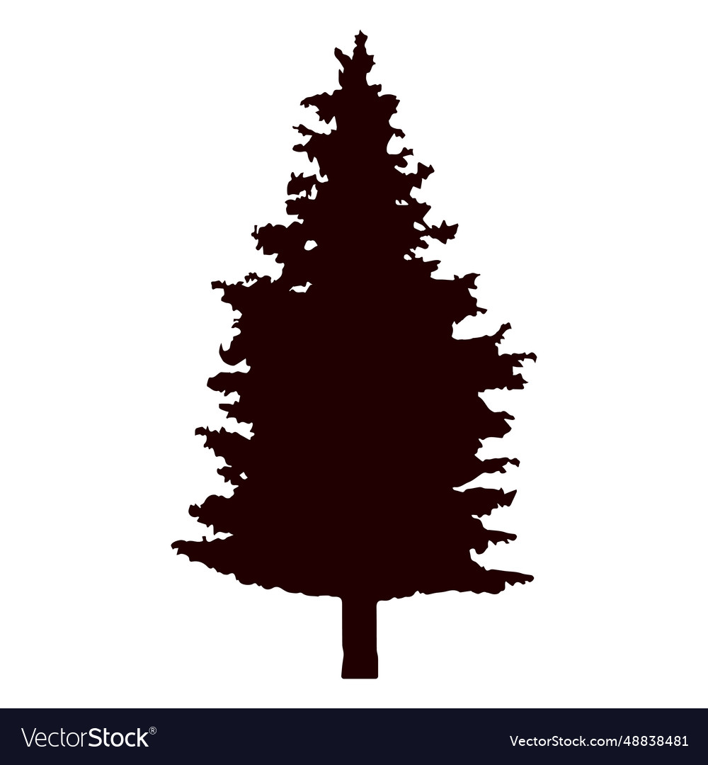 Fir tree Royalty Free Vector Image - VectorStock