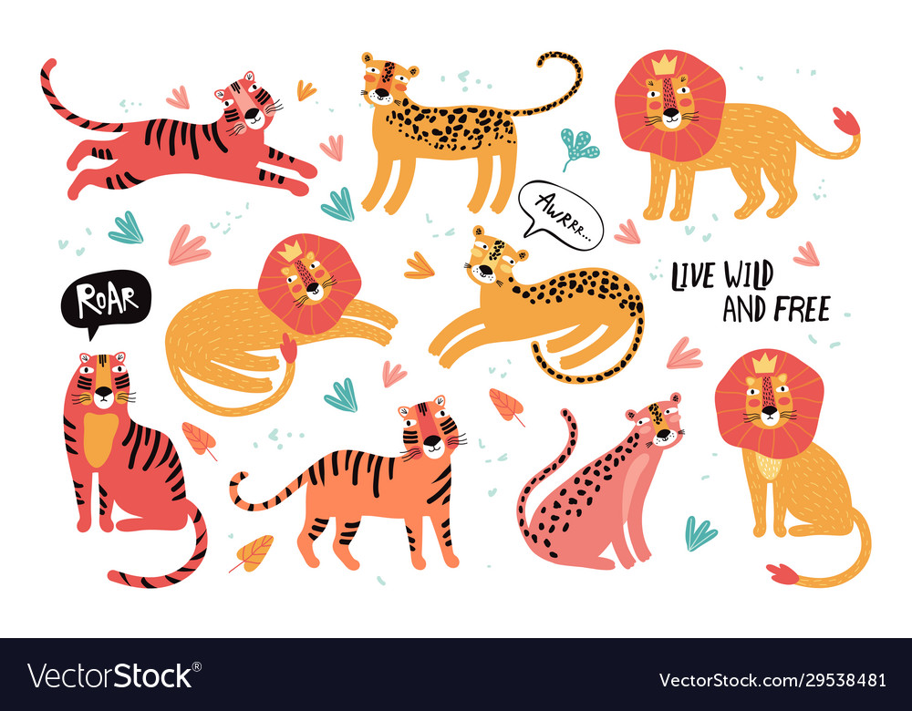 Set wild cats leopard lion tiger animals