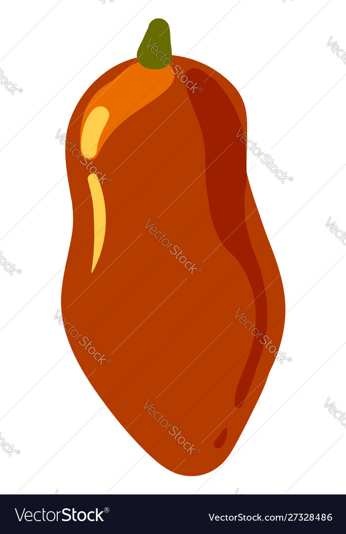 Red papaya on white background