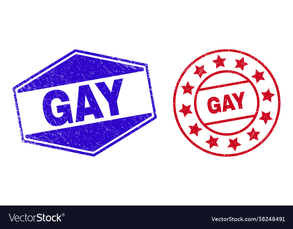 Gay grunge badges in circle and hexagonal shapes Vector Image