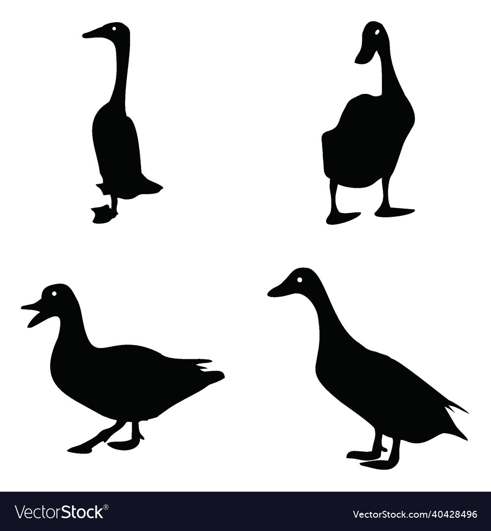 Flat duck design with four different shapes vector image Flat duck design with four different shapes