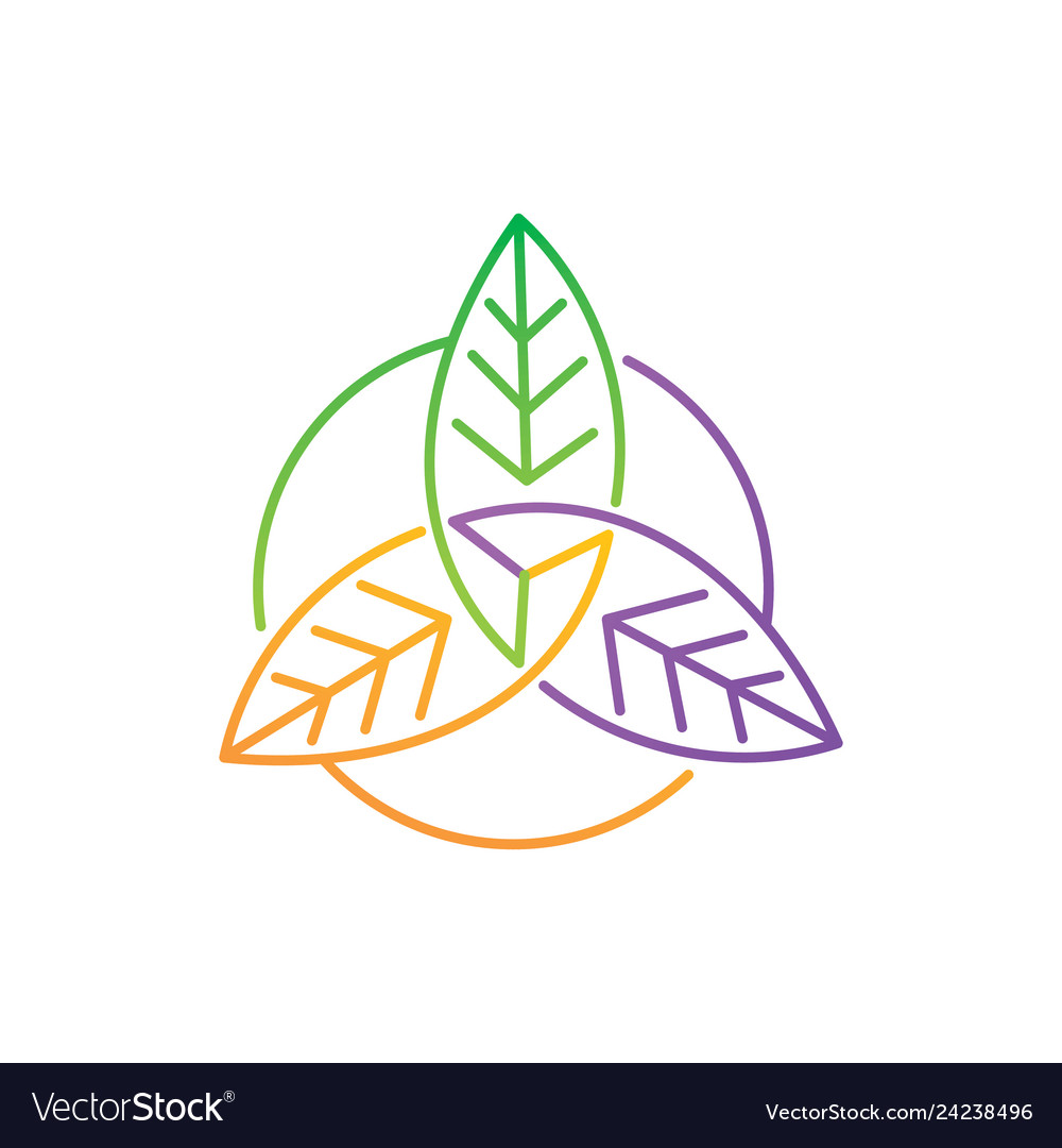 Leaf logo design template set