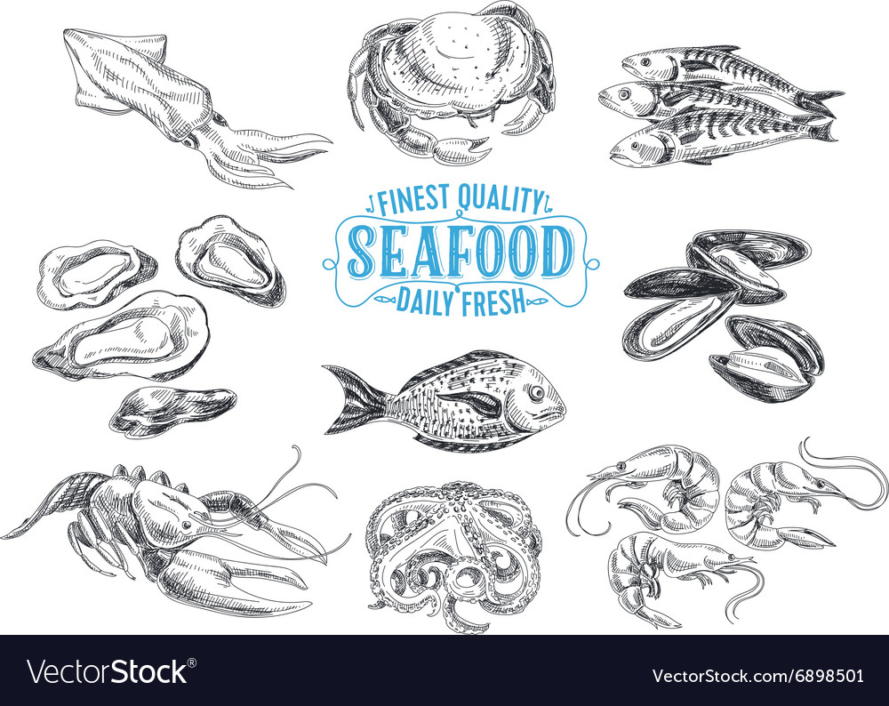 Hand drawn with seafood Royalty Free Vector Image