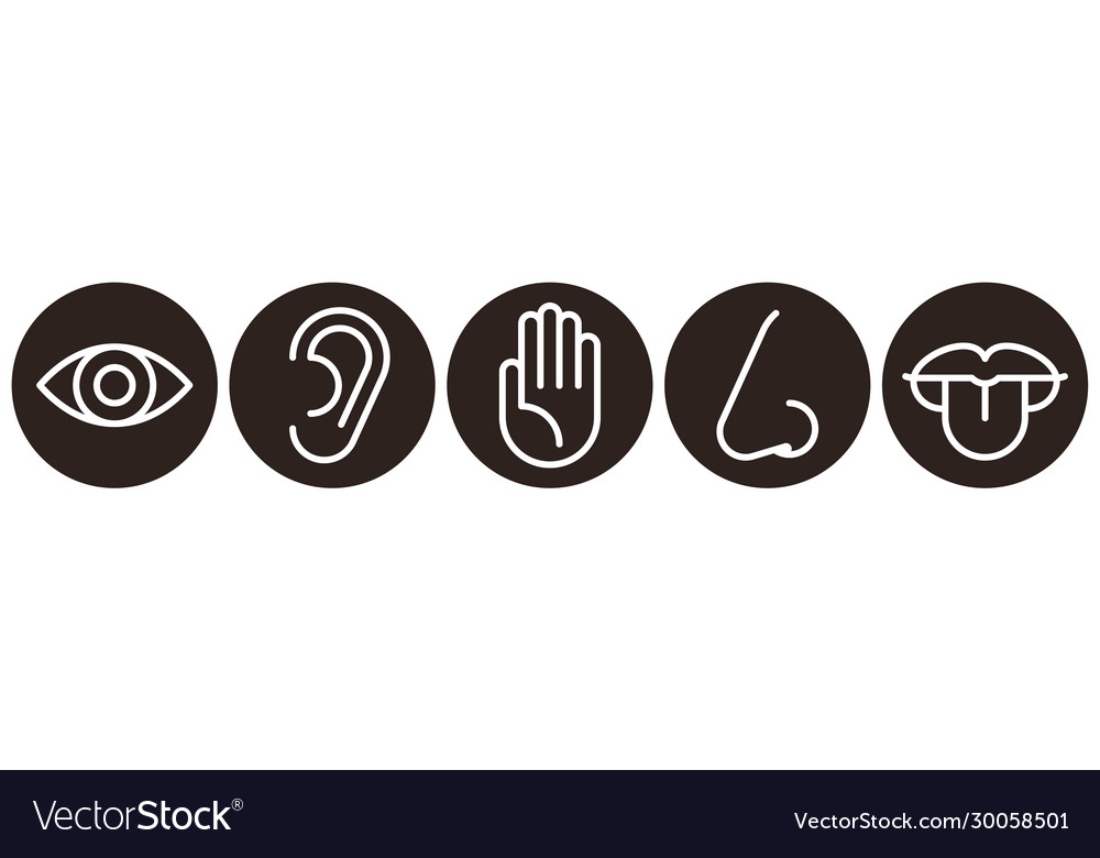 Sensory organs icon set Royalty Free Vector Image