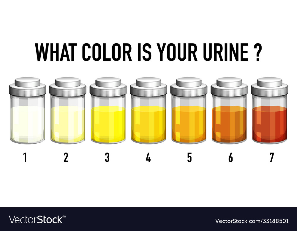 Urine Color Chart Stock Illustrations, Cliparts and Royalty Free