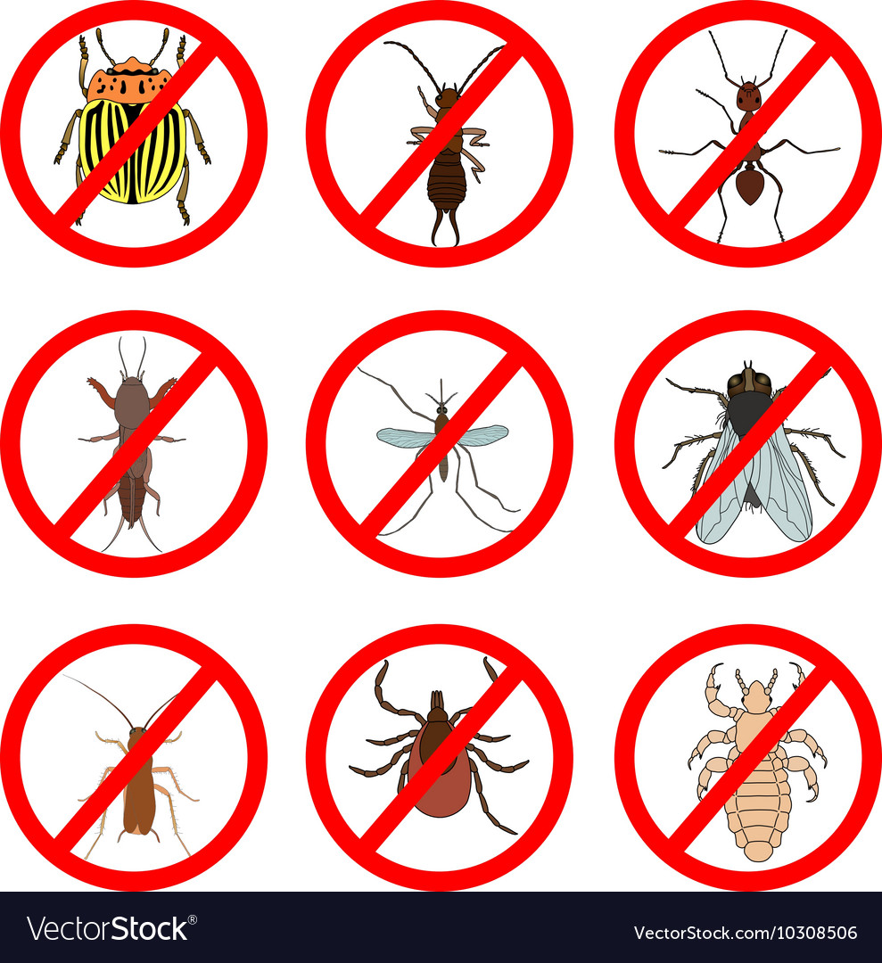 Pest And Insect Control Icons Set Tick Royalty Free Vector 1527