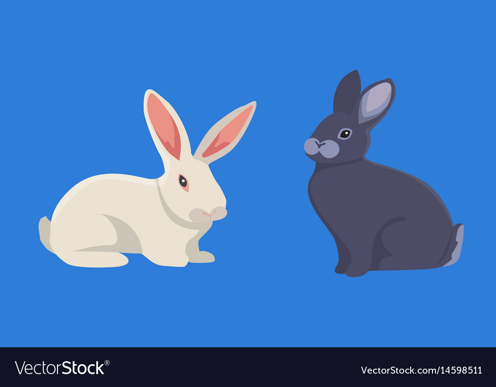 Cartoon Rabbits Set Royalty Free Vector Image Vectorstock 2837