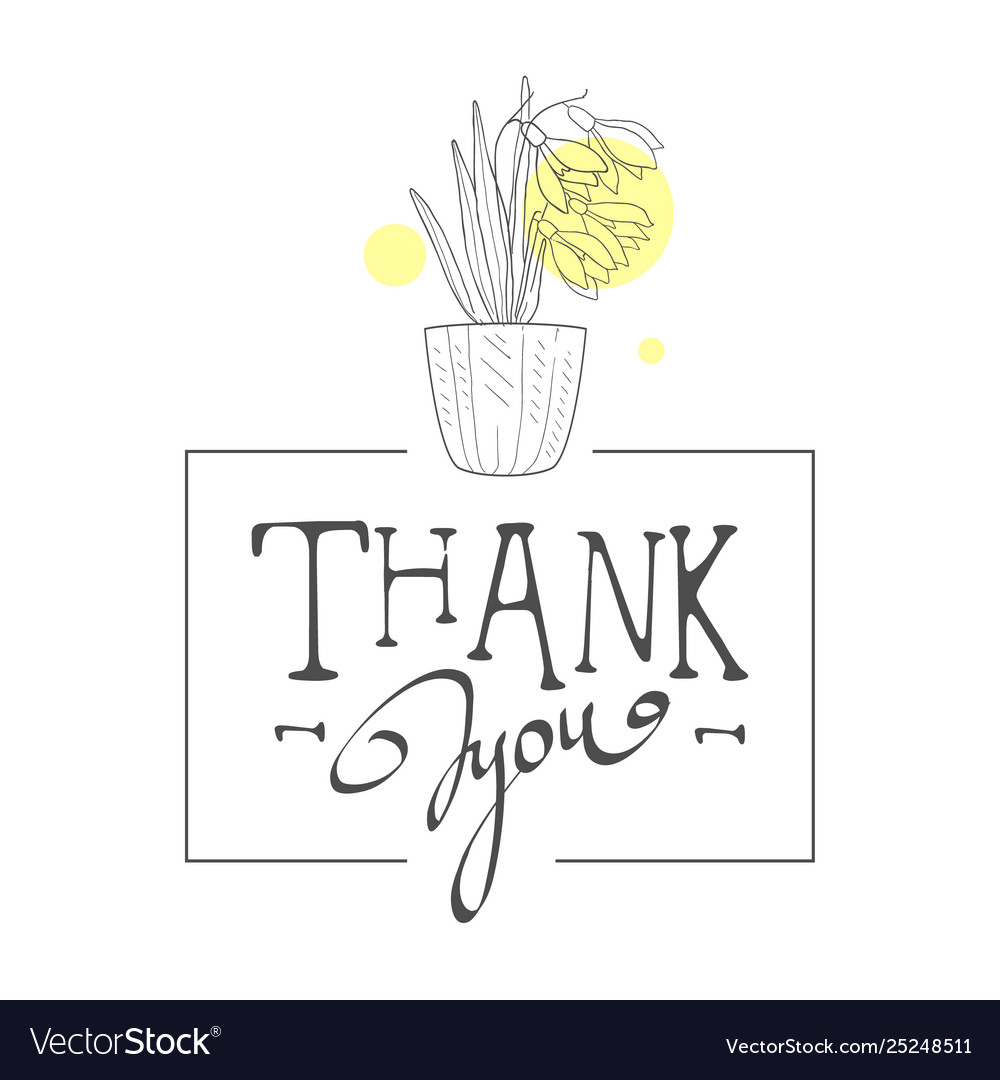 Thank you handwritten inscription elegant card vector image Thank you handwritten inscription elegant card