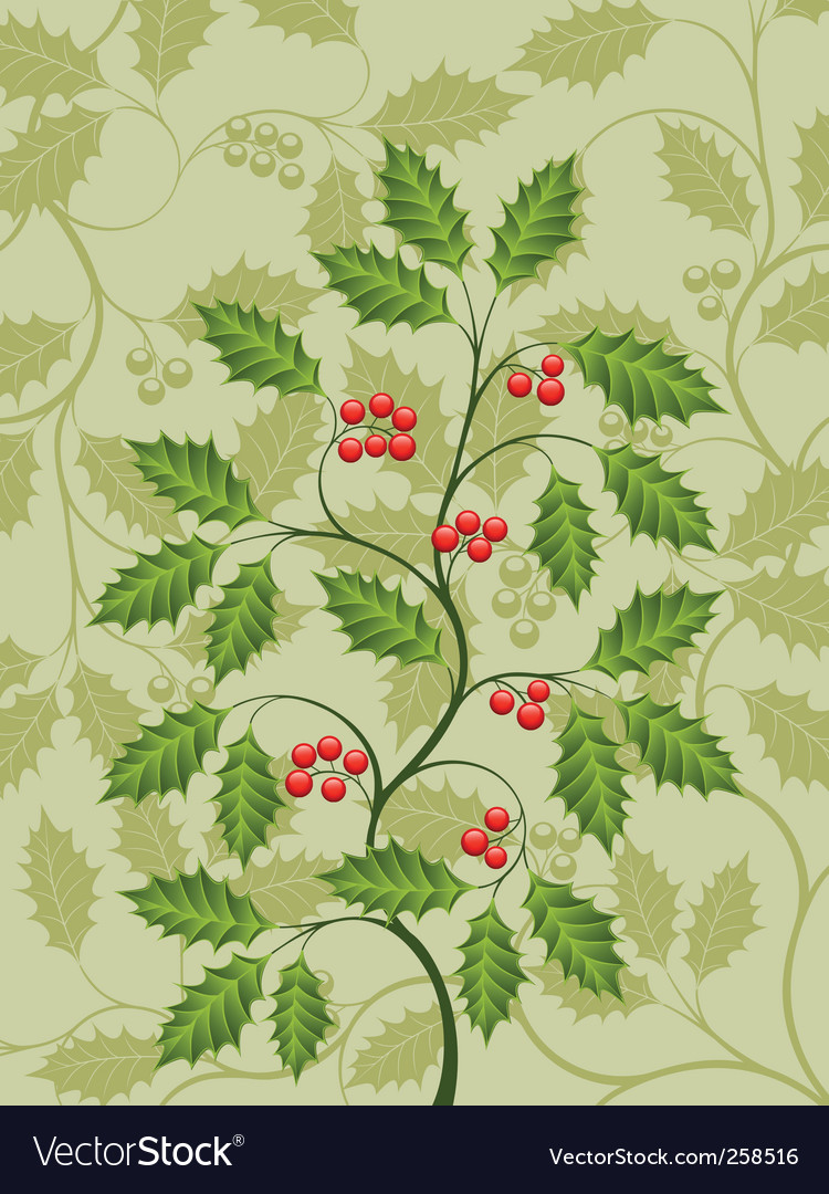 Holly Royalty Free Vector Image - VectorStock