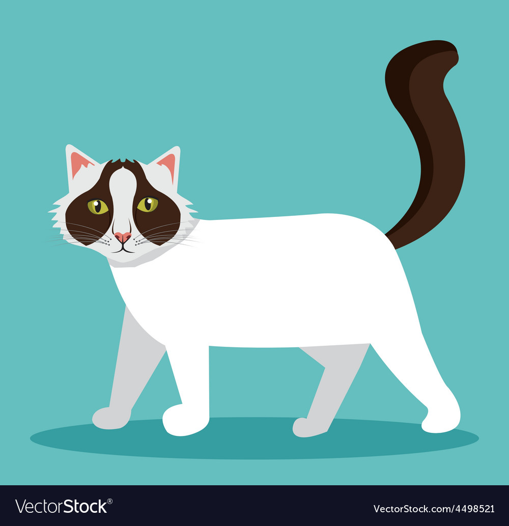 Cat design Royalty Free Vector Image - VectorStock