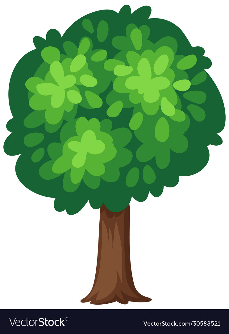 One big tree on white background Royalty Free Vector Image