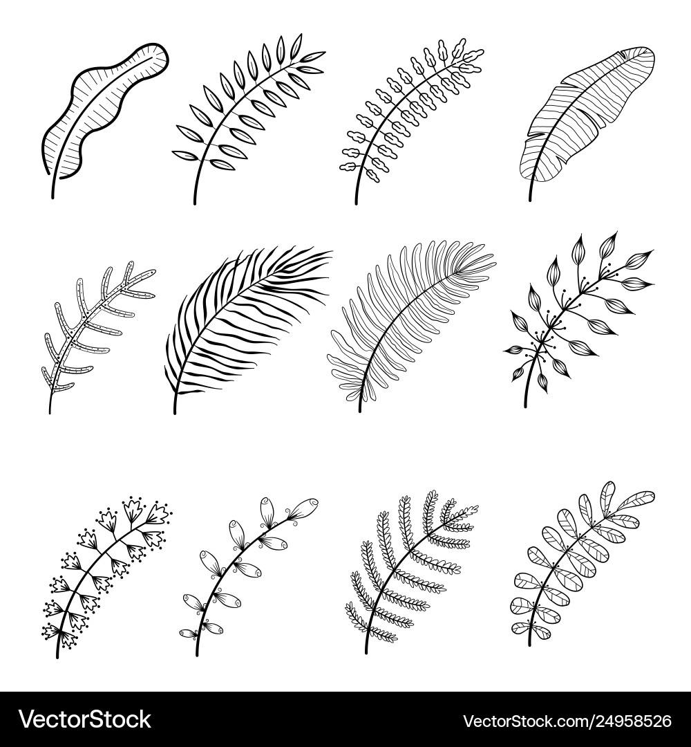 Floral set hand drawn botanic elements Royalty Free Vector