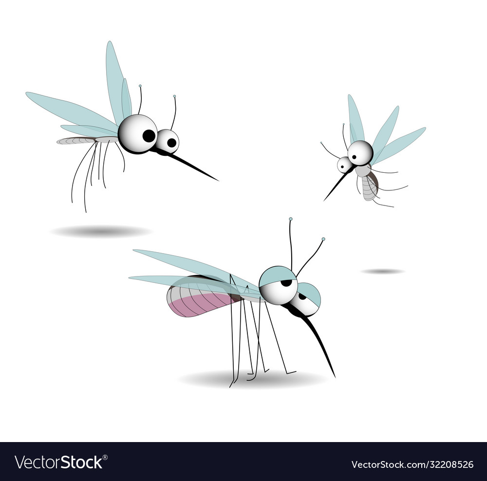 Mosquitoes character insect parasites isolated Vector Image