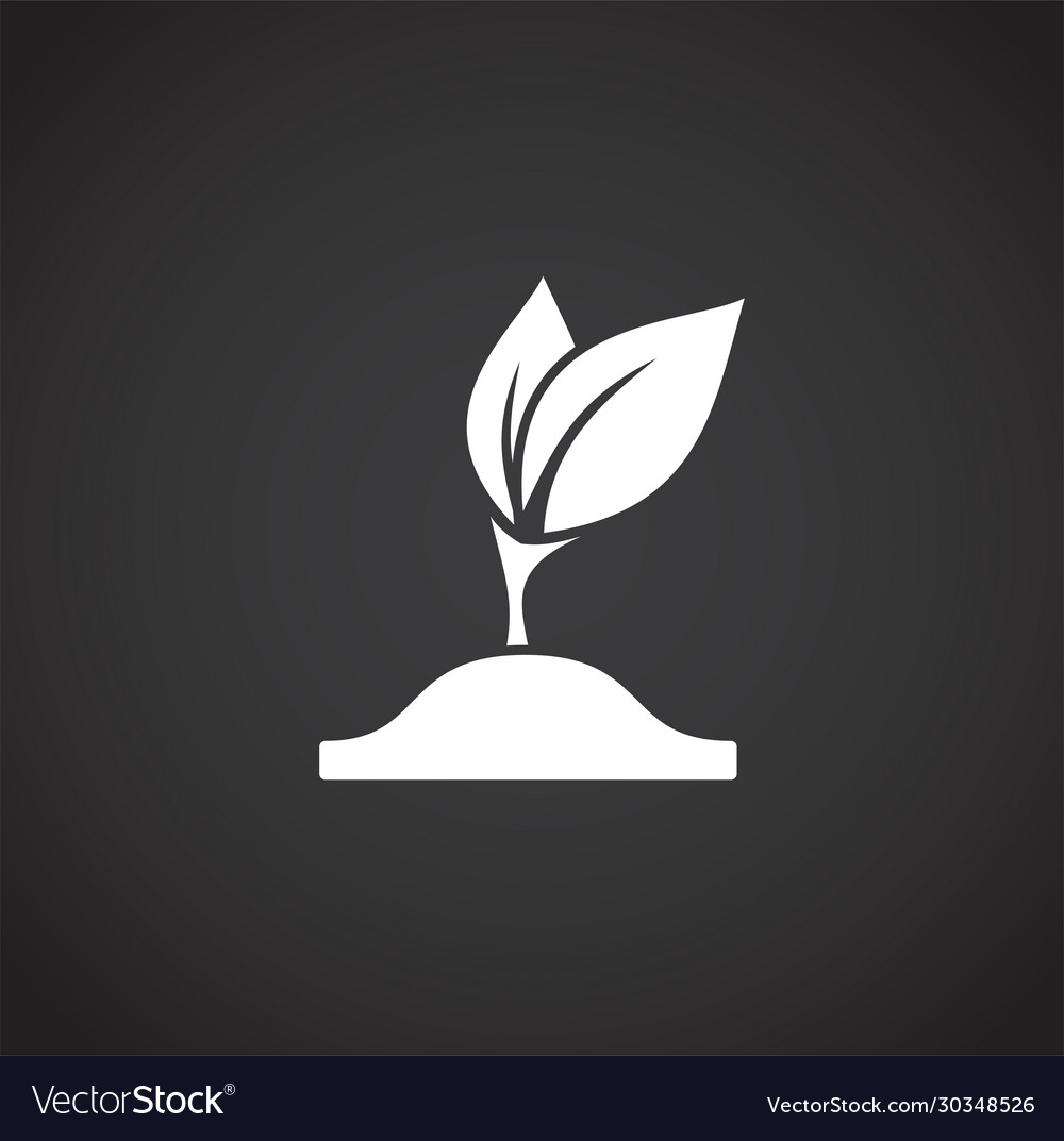 Seed related icon on background for graphic Vector Image