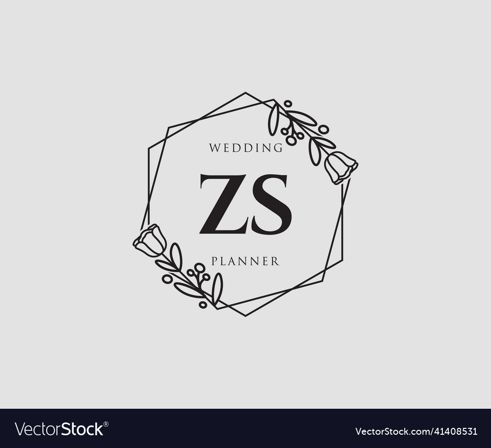 Initial zs feminine logo usable for nature salon