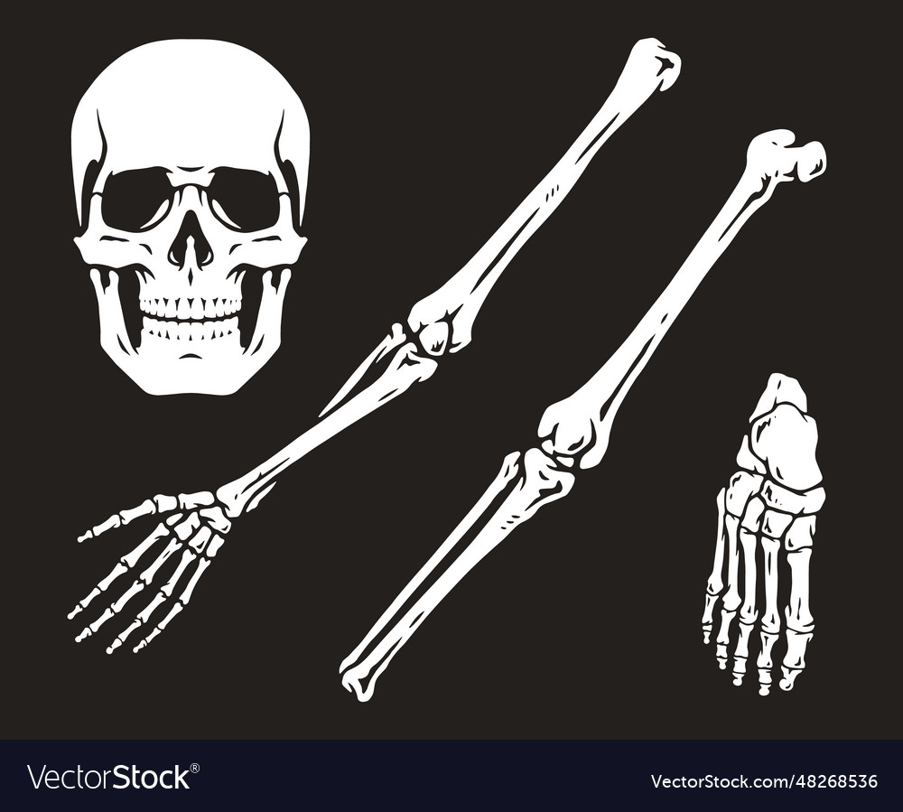 Human skeleton bones monochrome emblem Royalty Free Vector