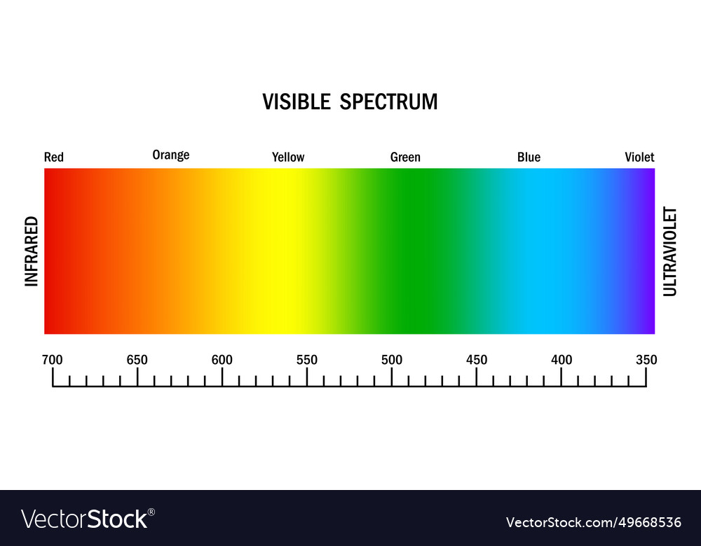 Visible light spectrum gradient diagram Royalty Free Vector