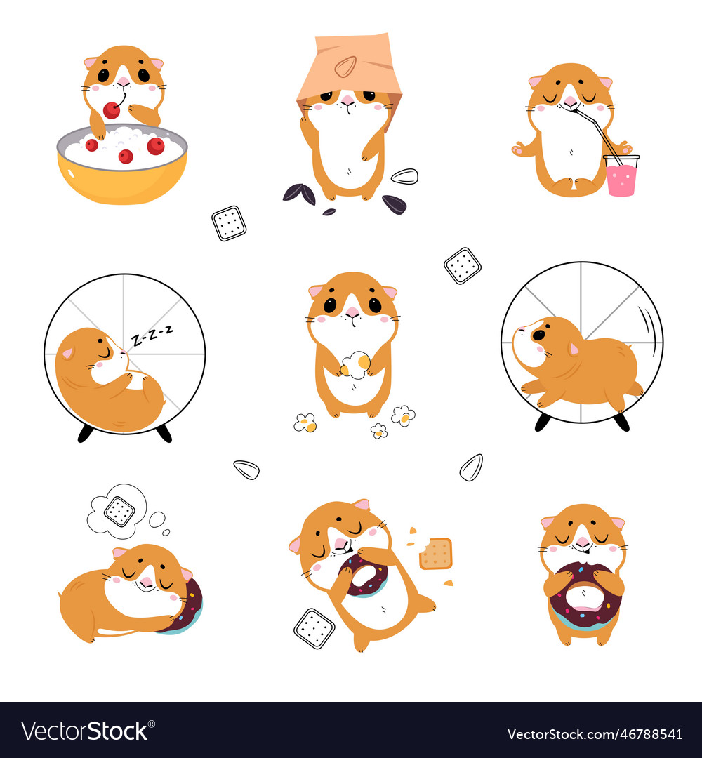 Cute little guinea pig in everyday activities set Vector Image